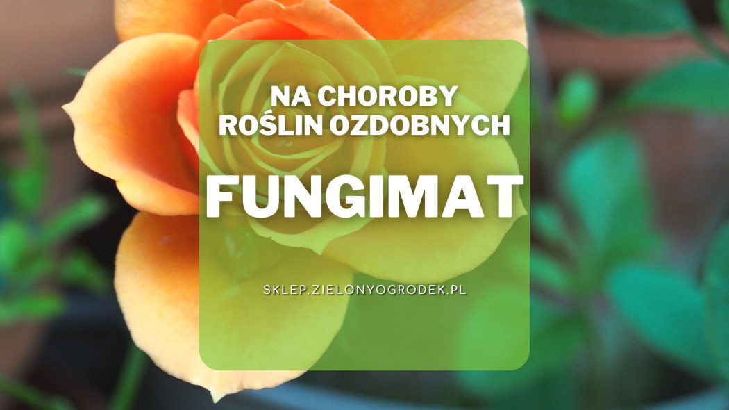 Fungimat srodek grzybobojczy do ochrony roslin ozdobnych