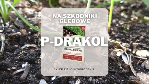 P-Drakol – preparat na groźne szkodniki glebowe