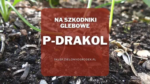 P-Drakol – preparat na groźne szkodniki glebowe