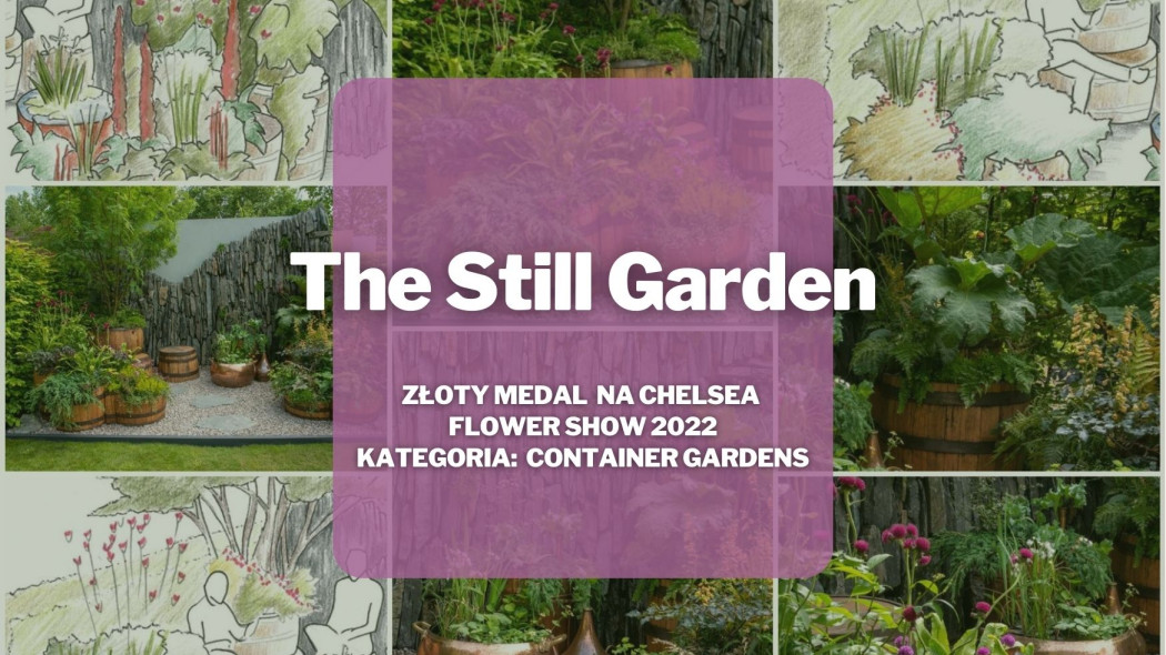 The Still Garden, Chelsea Flower Show 2022