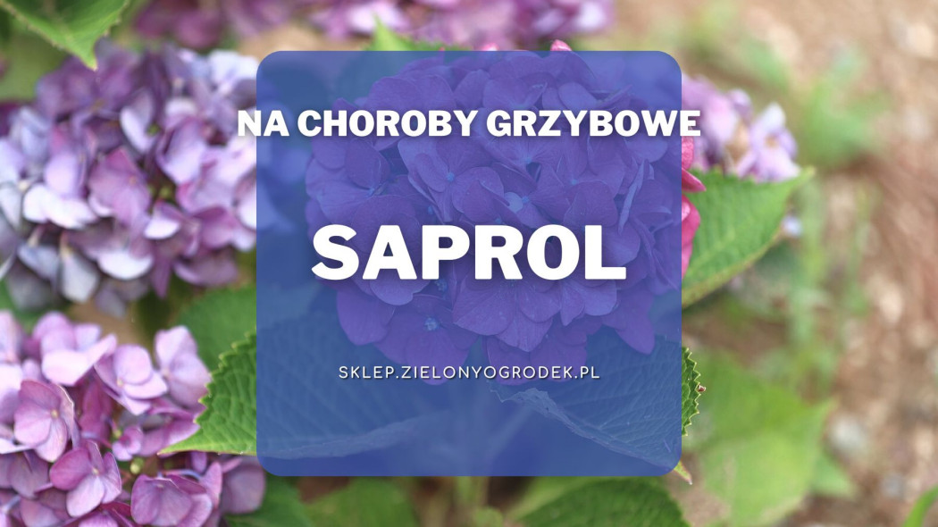 Saprol zwalczanie chorob u roslin ozdobnych