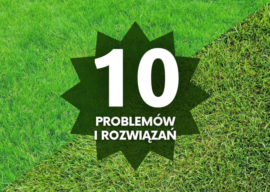 10 problemów z trawnikiem i sposoby na ich rozwiązanie