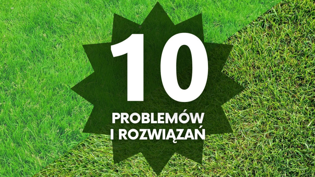 10 problemów z trawnikiem i sposoby na ich rozwiązanie