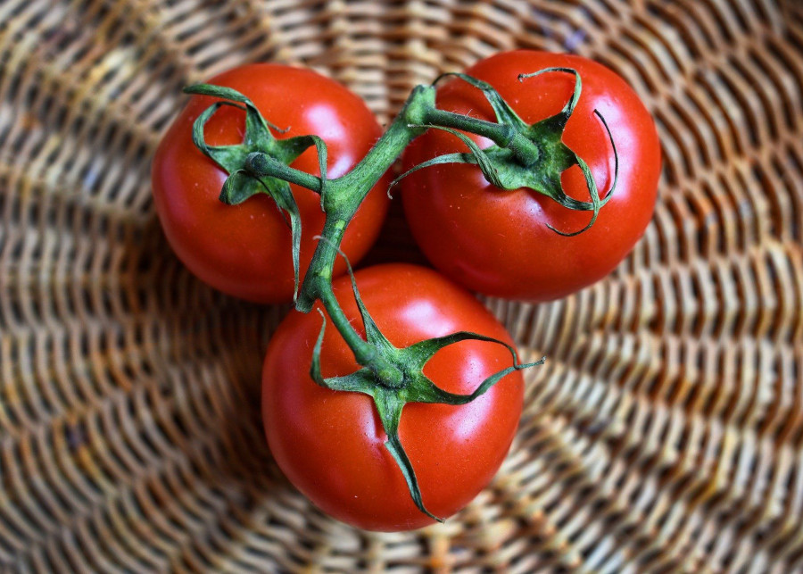 jak mieć zdrowe pomidory - zapobiegaj chorobom fot. MabelAmber - Pixabay