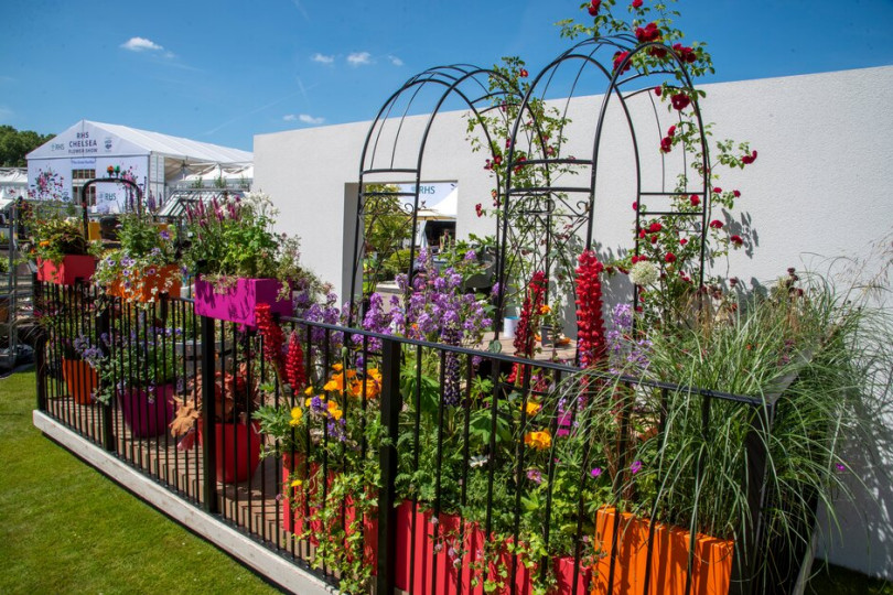 The Potting Balcony Garden sponsored by Viking, William Murray