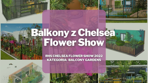 Balkonowe trendy z Chelsea Flower Show 2022