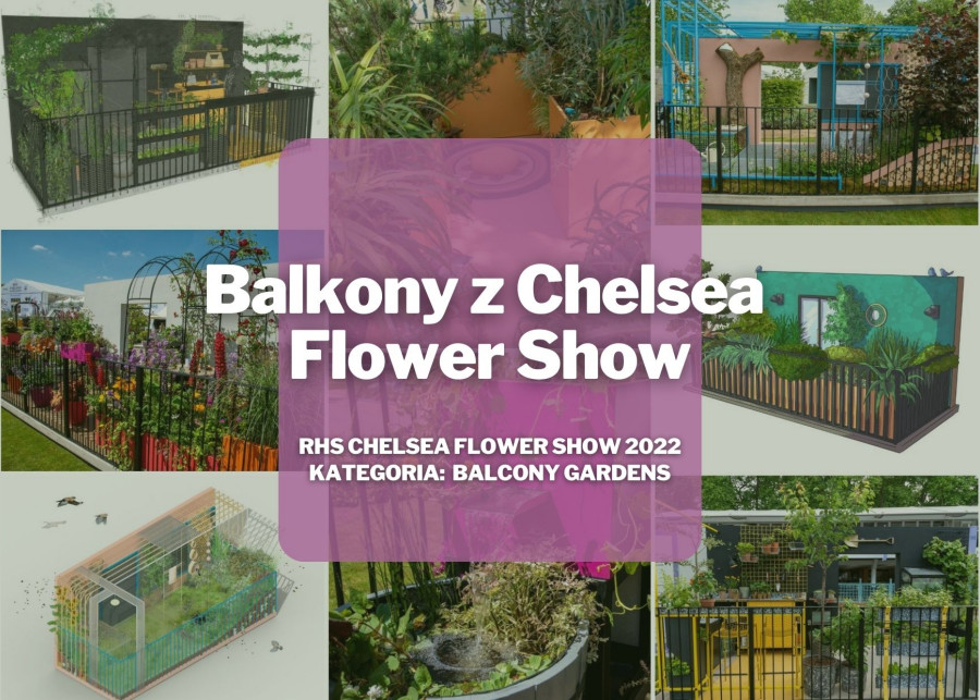 Balkonowe trendy z Chelsea Flower Show 2022 