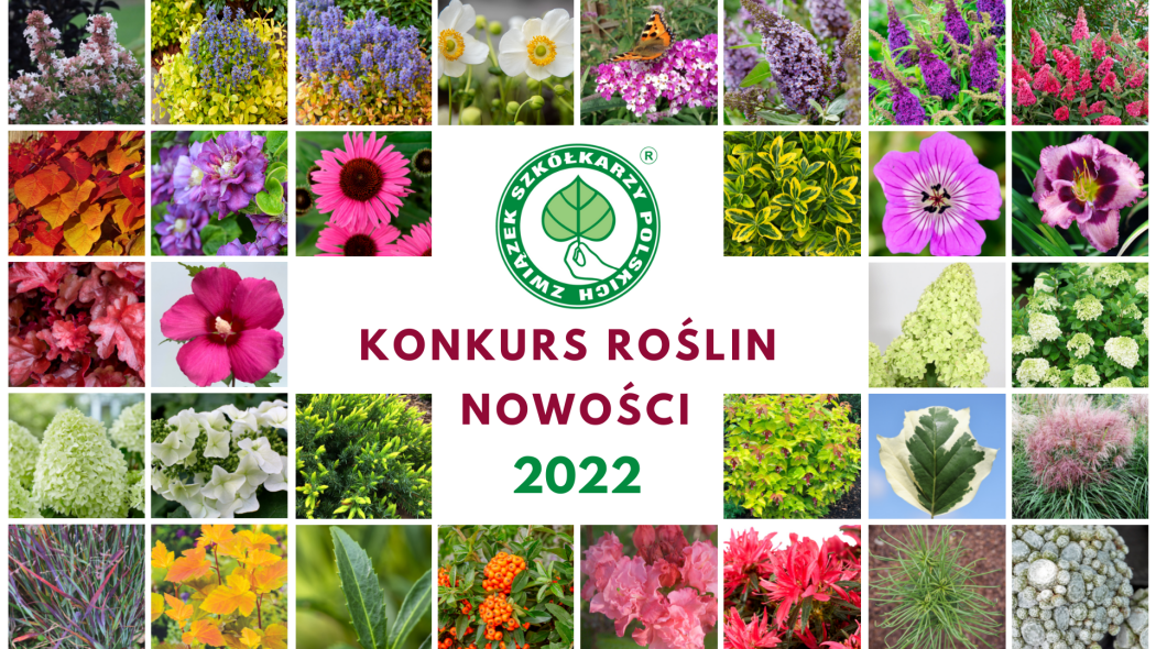 KONKURS ROŚLIN NOWOŚCI 2022