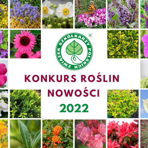 Laurowiśnia wschodnia SOFIA