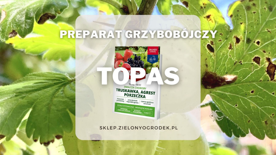 TOPAS preparat grzybobojczy sad warzywa