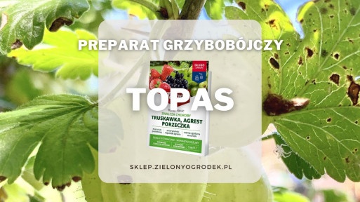 Topas – preparat grzybobójczy często stosowany w sadach i warzywnikach