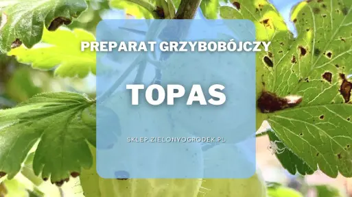 Topas – preparat grzybobójczy często stosowany w sadach i warzywnikach