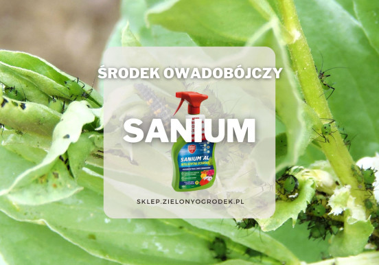Sanium – uniwersalny środek owadobójczy