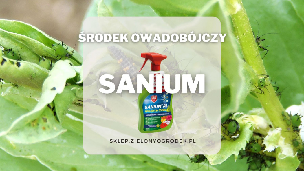 Sanium uniwersalny srodek owadobojczy