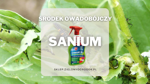 Sanium – uniwersalny środek owadobójczy