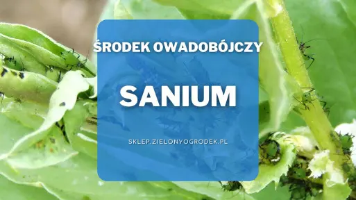 Sanium – uniwersalny środek owadobójczy