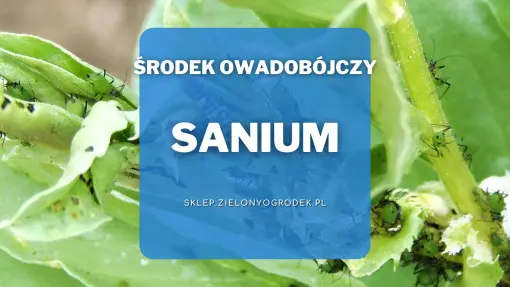 Sanium – uniwersalny środek owadobójczy