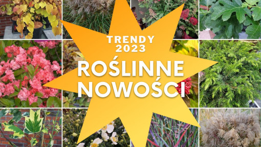 Zwycięzcy Konkursu Roślin NOWOŚCI 2022 | Zieleń To Życie