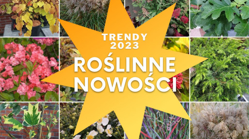 Zwycięzcy Konkursu Roślin NOWOŚCI 2022 | Zieleń To Życie