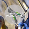 Jesienne cięcie winorośli. Czy, jak i kiedy przycinać winogrona jesienią?