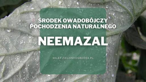 NeemAzal – preparat na ziemiórki i inne szkodniki