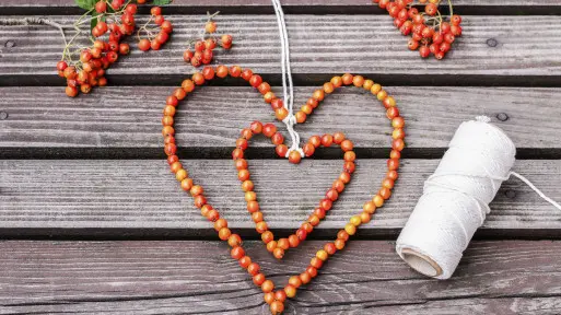 Jak zrobić serce z owoców jarzębiny | DIY
