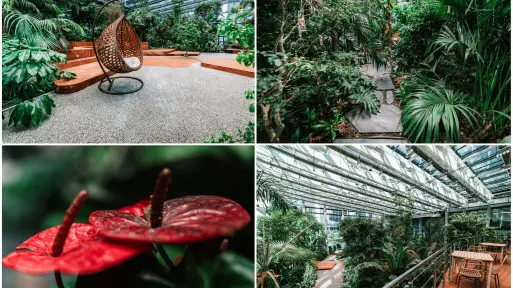 Olivia Garden z prestiżową nagrodą 2022 European Property Awards