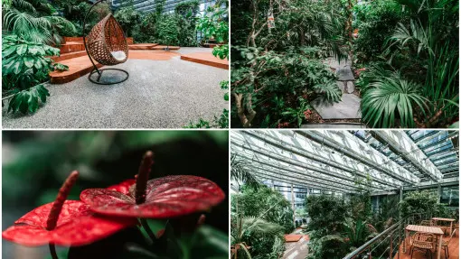 Olivia Garden z prestiżową nagrodą 2022 European Property Awards