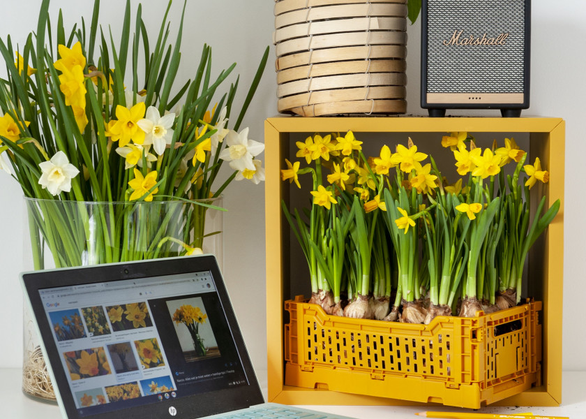 Home Office wśród kwiatów | Bukiety w domowym biurze Home Office wśród kwiatów | Bukiety w domowym biurze