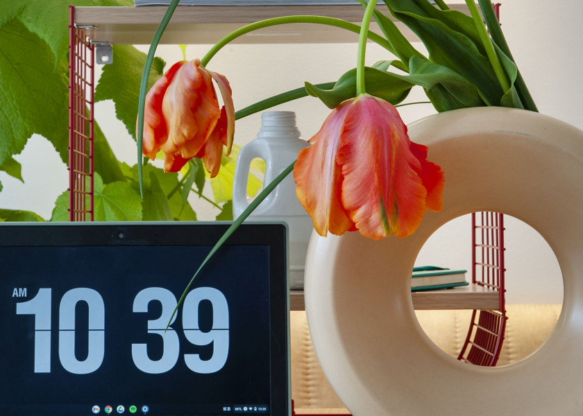 Home Office wśród kwiatów | Bukiety w domowym biurze Home Office wśród kwiatów | Bukiety w domowym biurze