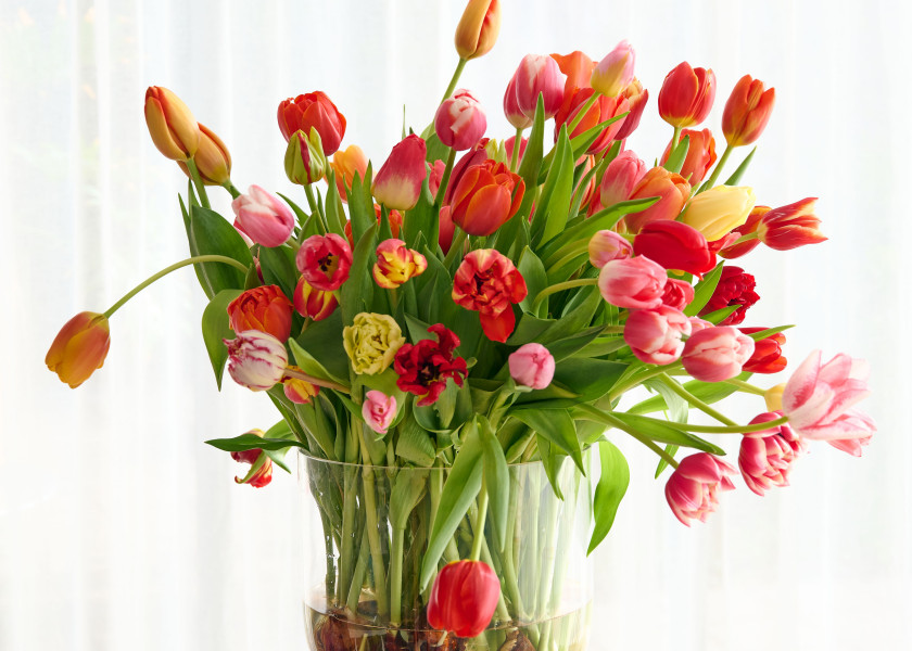 Tulipany w bukietach | Pomysły na wiosenne aranżacje Tulipany w bukietach | Pomysły na wiosenne aranżacje