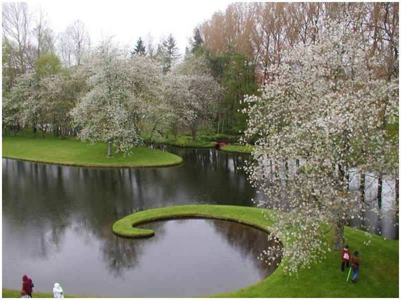 The Garden of Cosmic Speculation