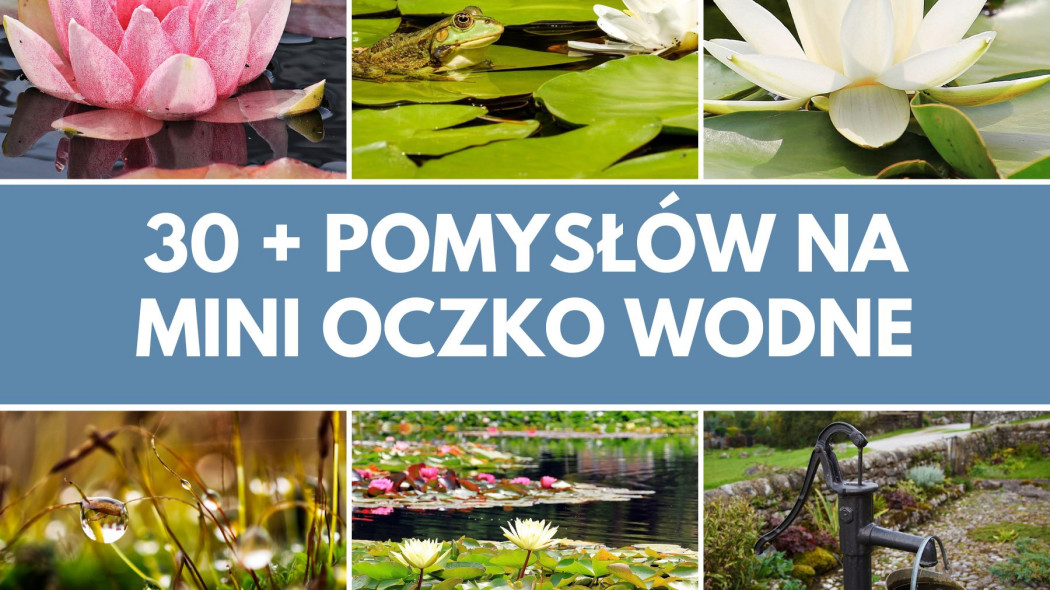 30 + pomyslow na mini oczko wodne