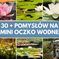 30+ pomysłów na mini oczko wodne 