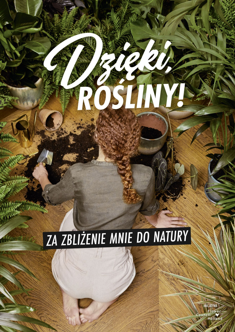 Dzięki rośliny