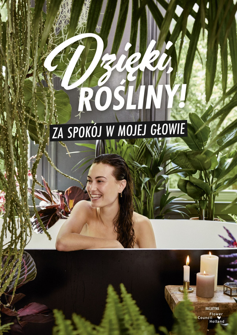 Dzięki rośliny