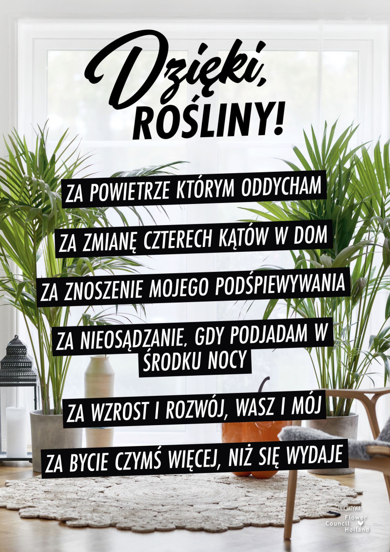 Dzięki rośliny