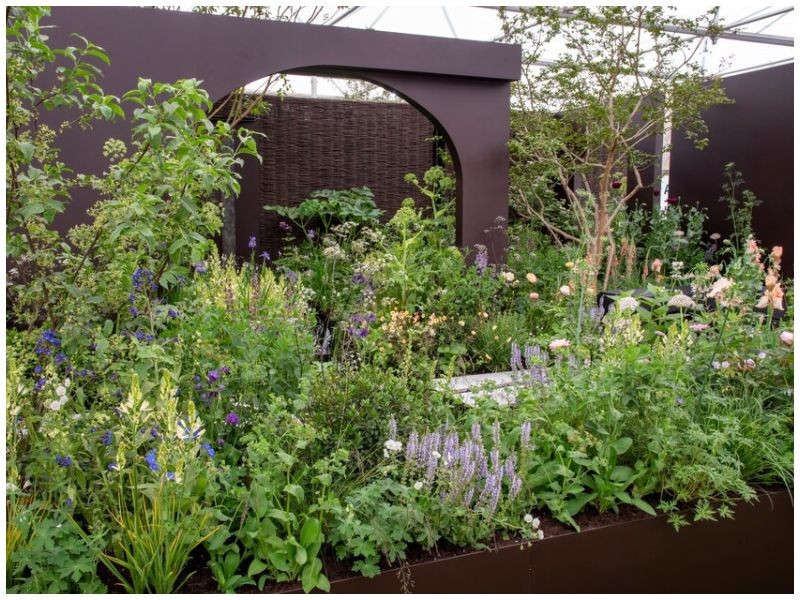 The Mothers for Mothers Garden z Chelsea Flower Show 2022