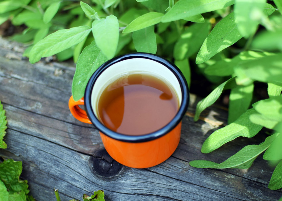herbata napar z szałwii fot. drobacphoto - Depositphotos
