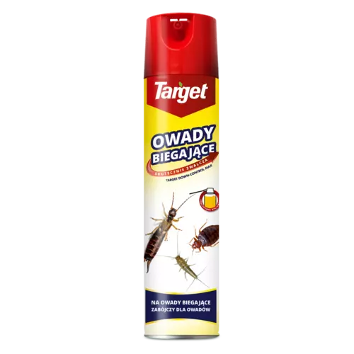 Spray na owady biegające