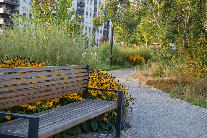 Park Czyżyny nominowany do nagrody Green Cities Europe 2022