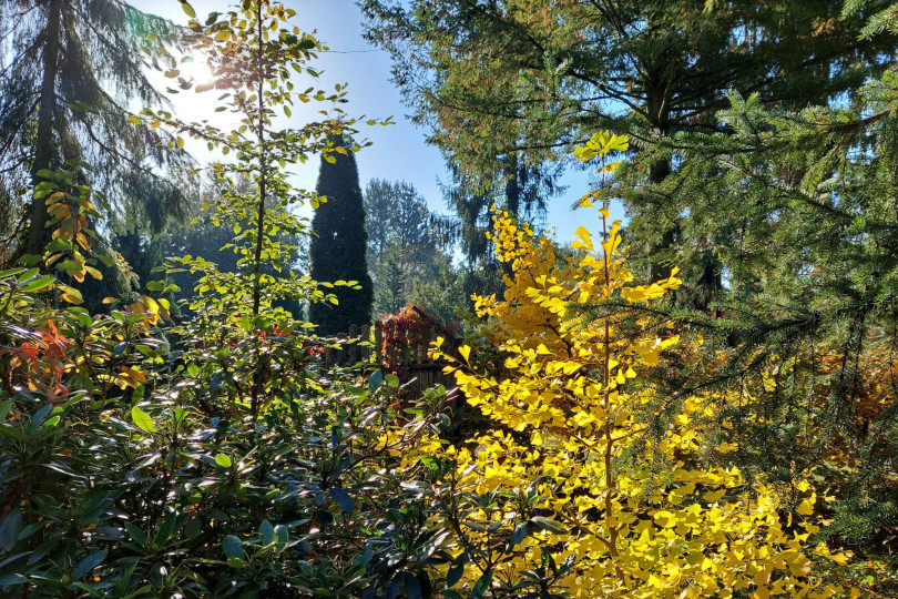 Ogrod jesienia, fot. Katarzyna Jeziorska