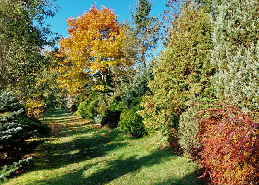 Piekna jesien w ogrodzie Zdjecia Galeria, fot. Katarzyna Jeziorska