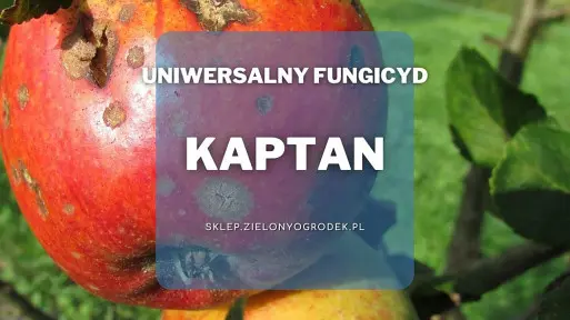 Kaptan zawiesinowy – uniwersalny preparat na choroby grzybowe