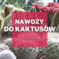 Nawozy do kaktusów | Jakie wybrać i gdzie kupić?