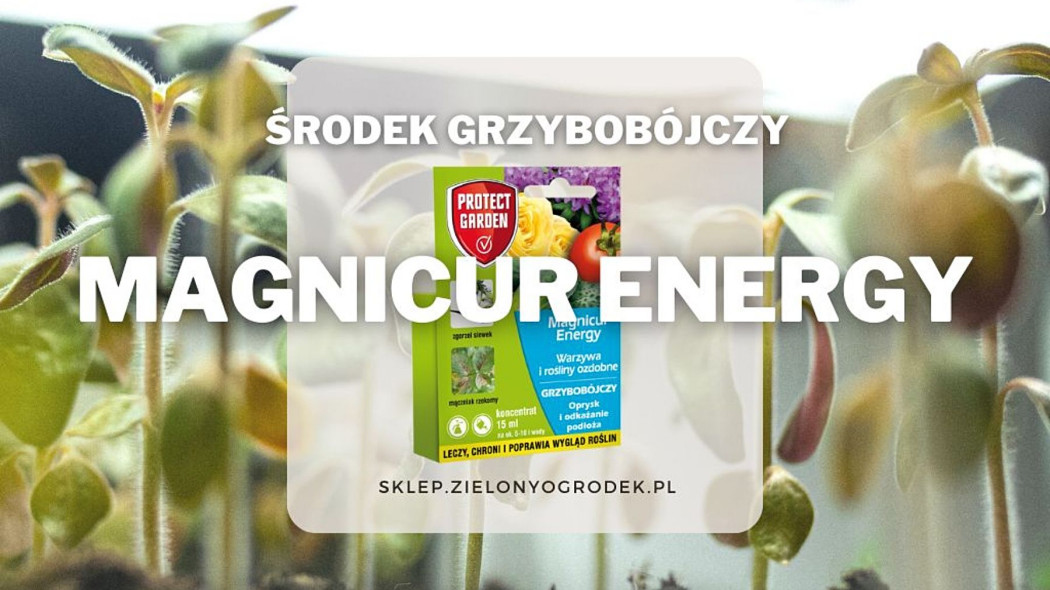 Magnicur Energy srodek grzybobojczy na fytoftoroze