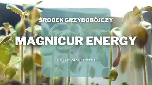 Magnicur Energy – środek grzybobójczy na fytoftorozę
