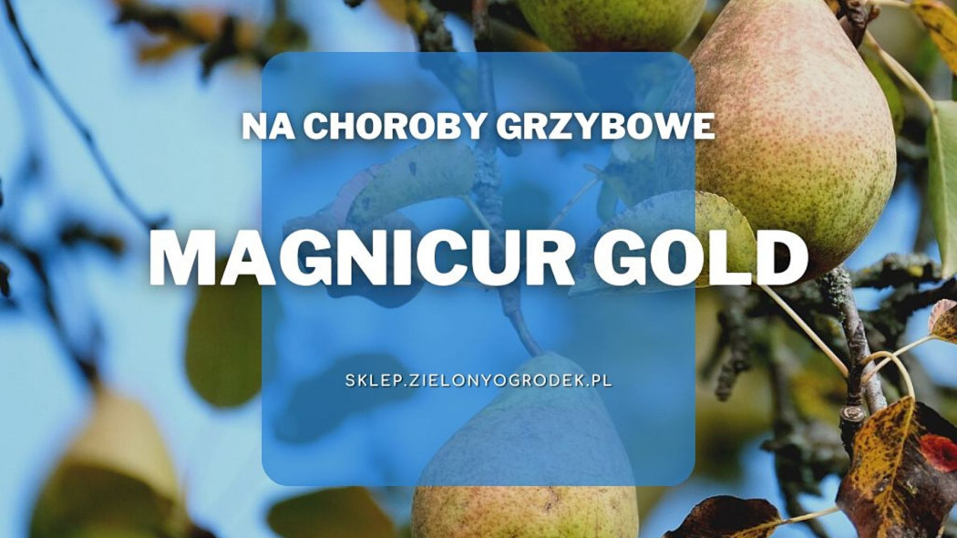 Magnicur Gold na rdze gruszy i inne choroby grzybowe