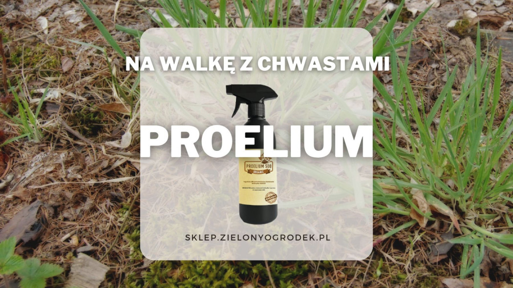 Proelium 500 wspomaga dzialanie herbicydow