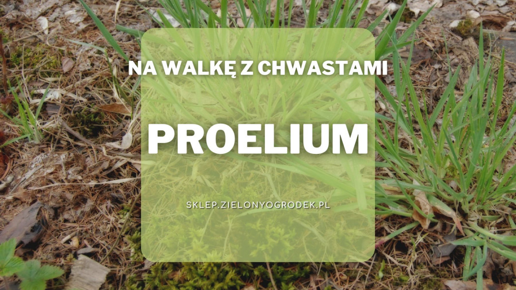 Proelium 500 wspomaga dzialanie herbicydow